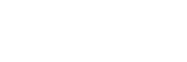Formula City