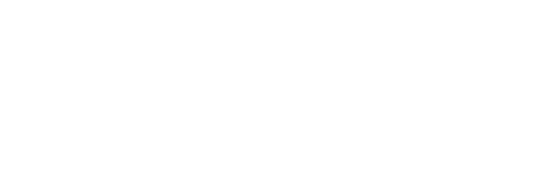 VE Group